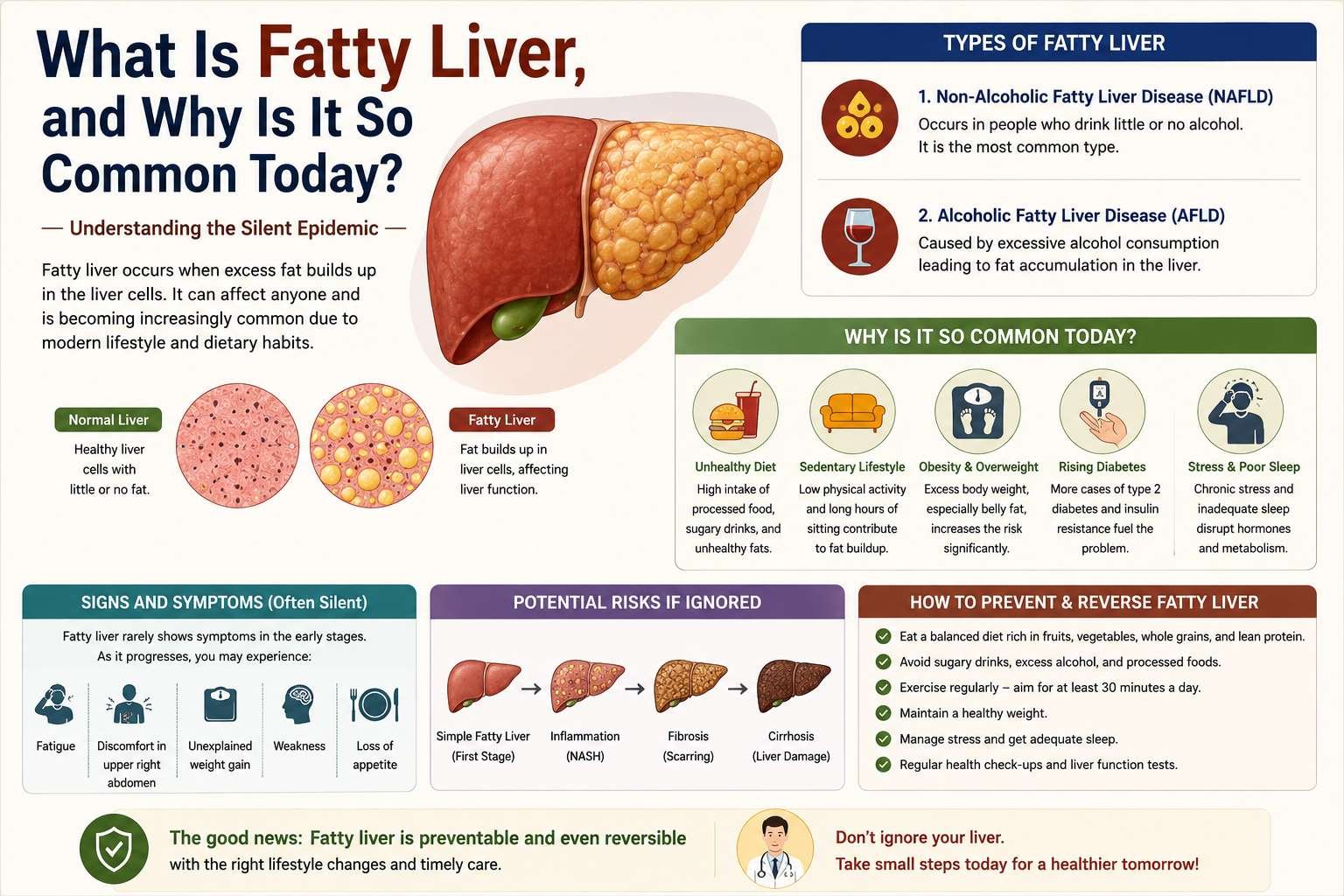 What Is Fatty Liver, and Why Is It So Common Today?