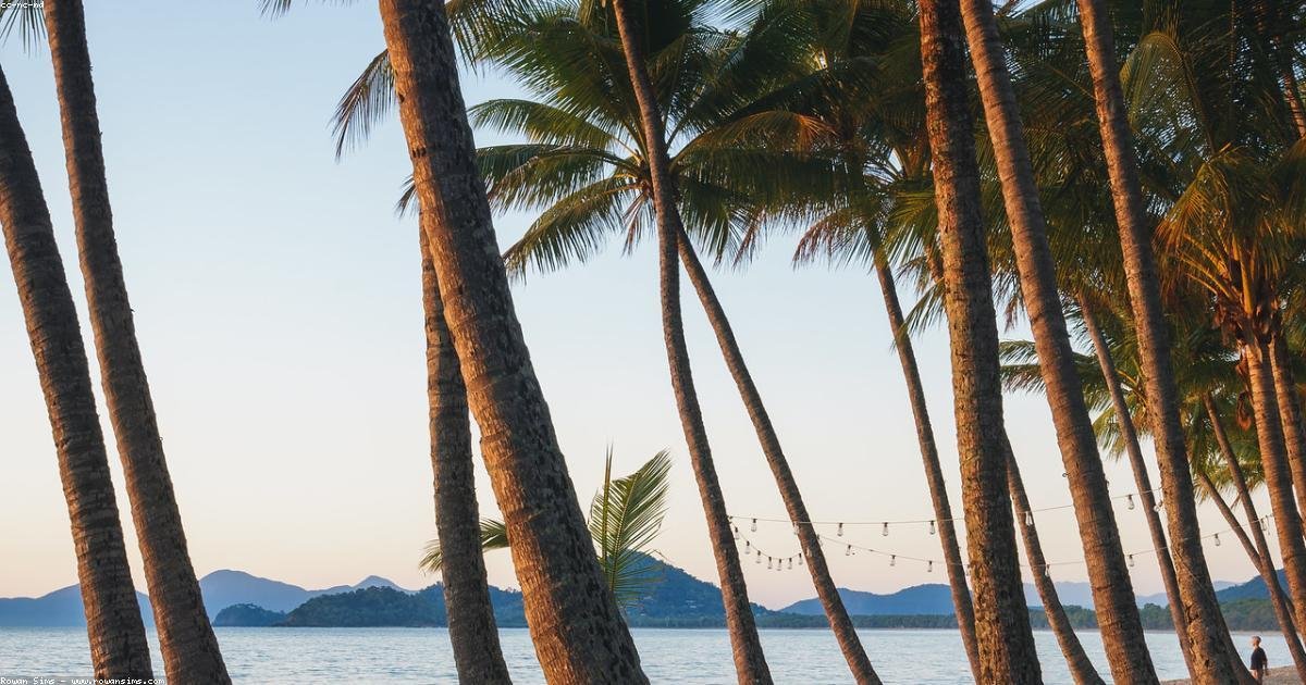 Is Coconut Water Good for Fatty Liver? Nature’s Detox Drink Examined