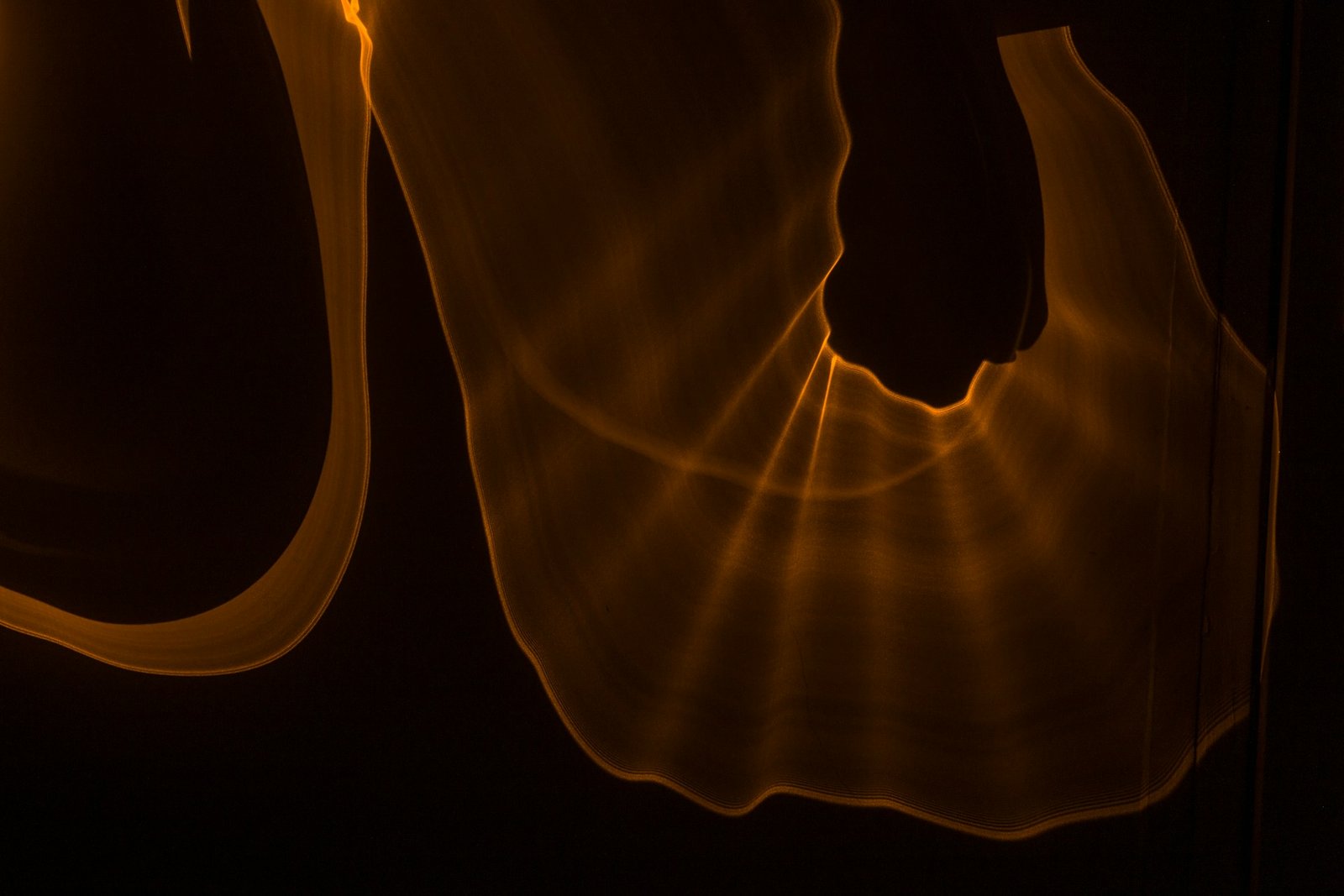 What Is Role of the Acid in Our Stomach